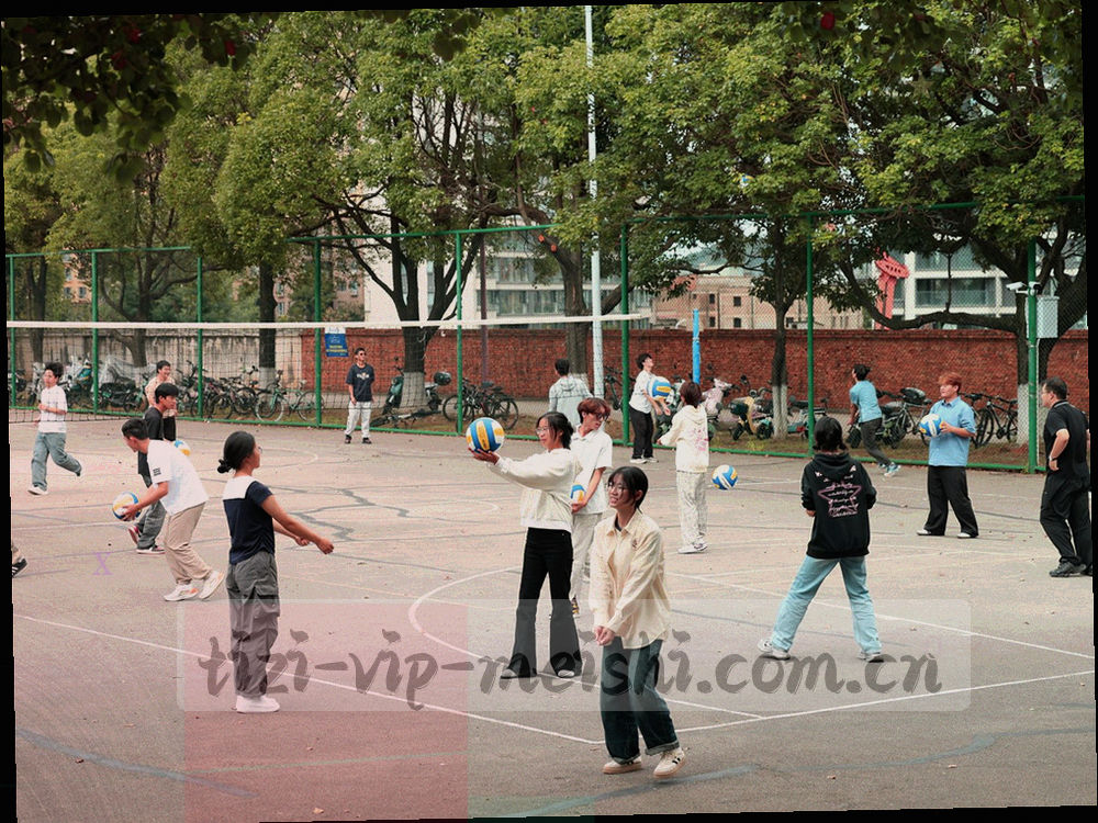 低多边形夜色地图插画，用光点与连线示意多个区域之间的线路走向，画面不含任何地名标注